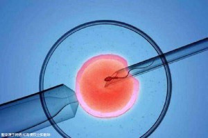 木棉医疗中心
